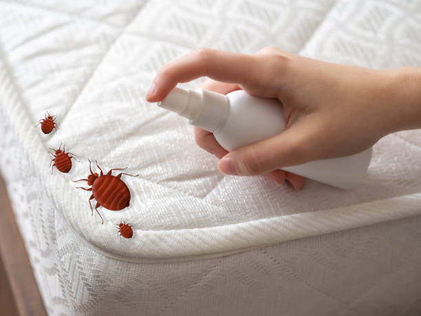 Best Emergency Pest Control  in Devens, MA